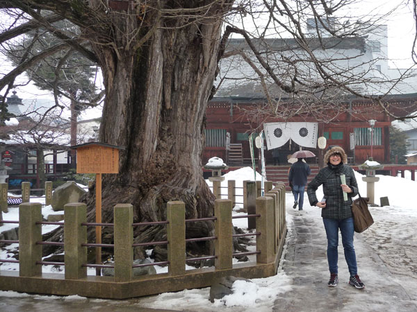 Touring Japan snow